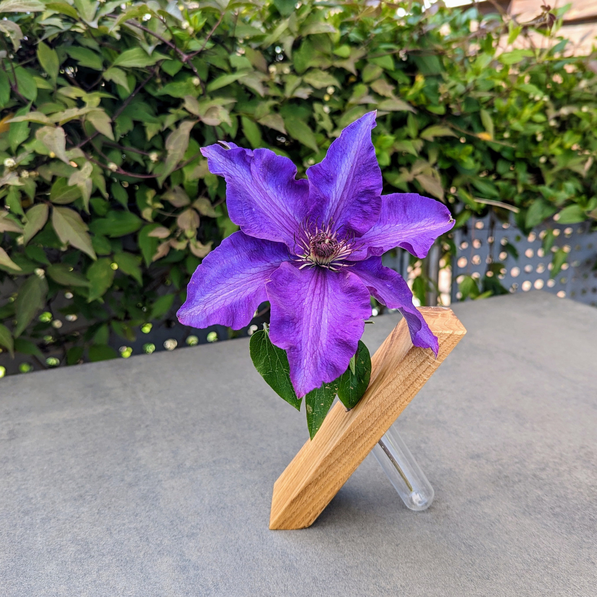 Blumenständer aus Eichenholz mit Glasvase (schräg)