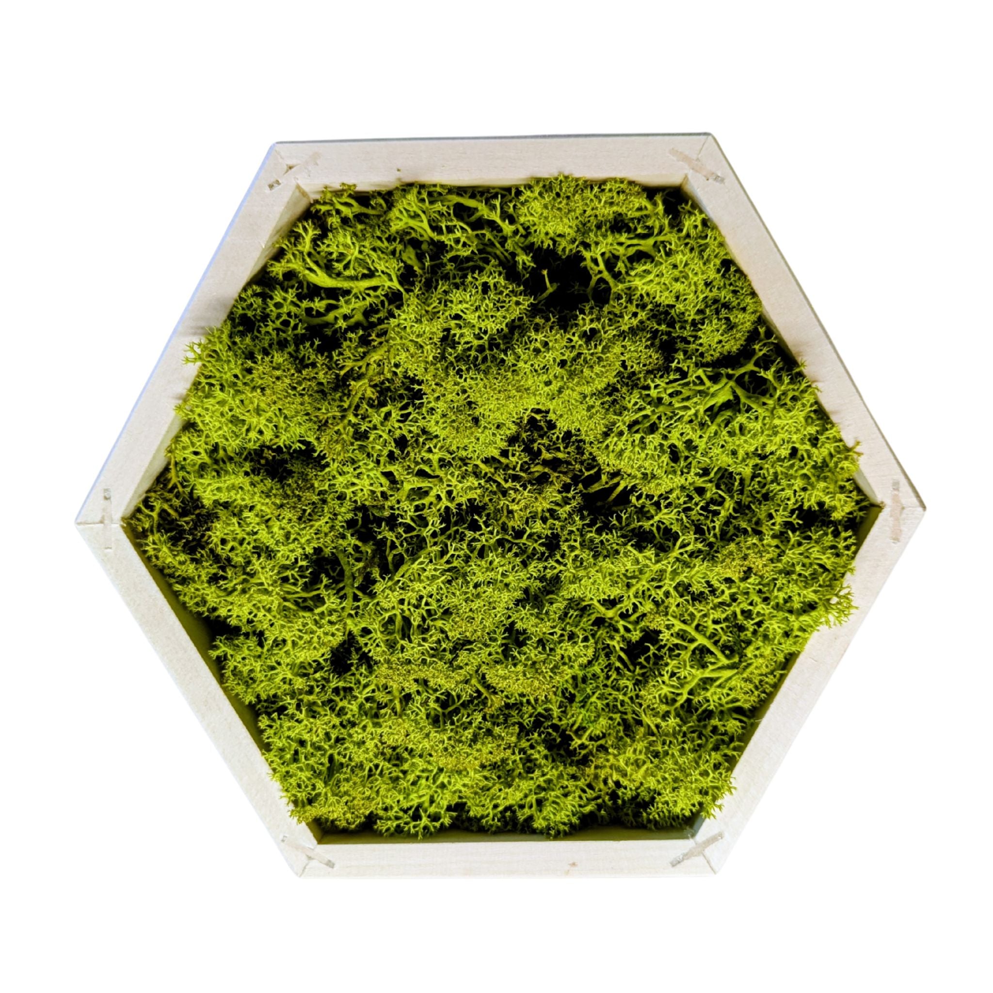 RUHE Moosbild – Handgefertigtes Wandobjekt aus Massivholz & Naturmoos