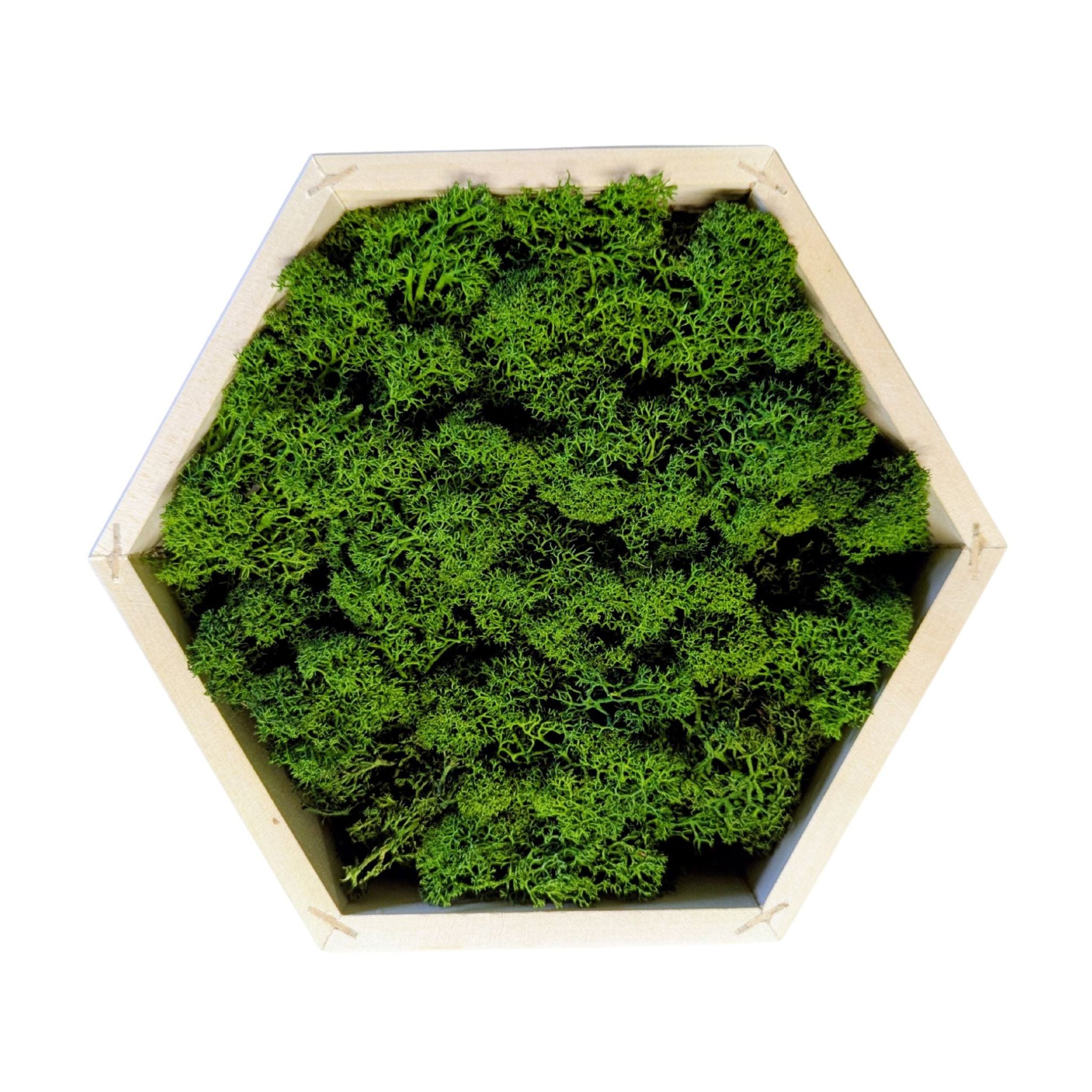 RUHE Moosbild – Handgefertigtes Wandobjekt aus Massivholz & Naturmoos